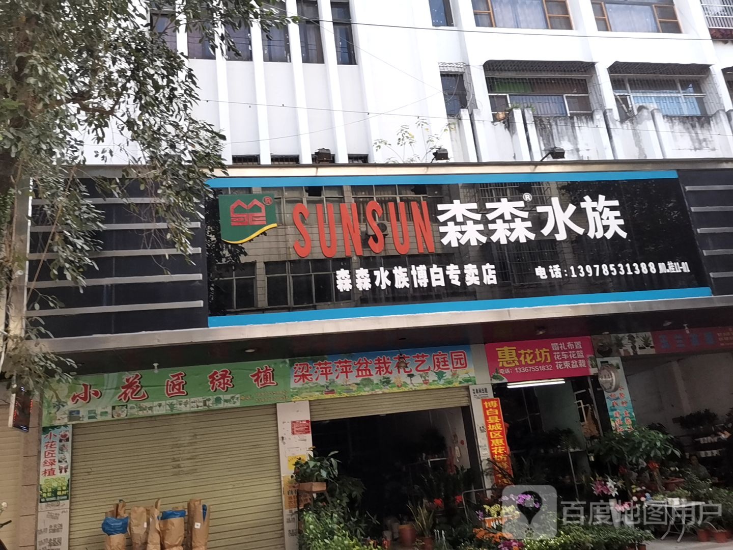 森森水族(博白专卖店)