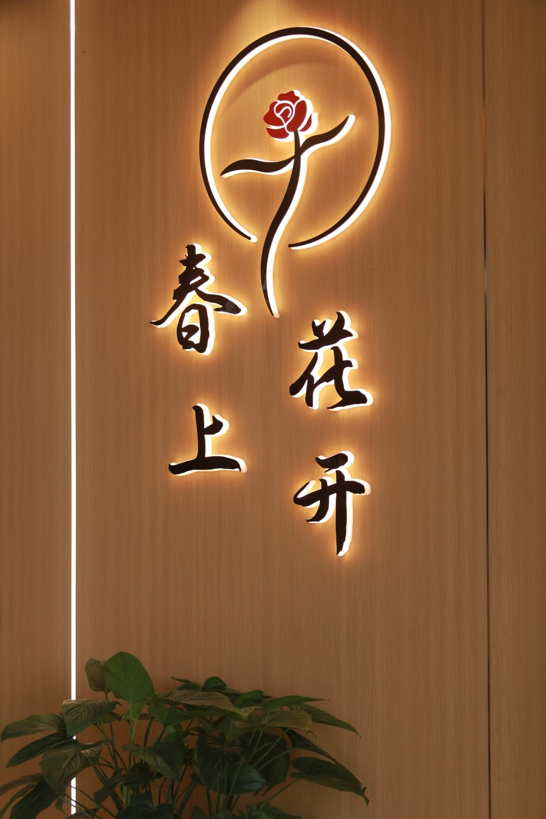 樊栀·普拉提·瑜伽(城市中央店)