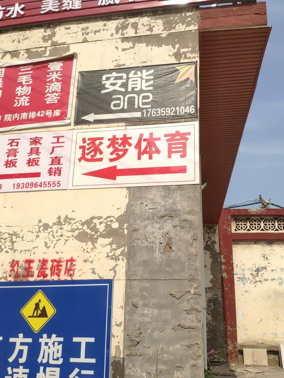 逐梦体育