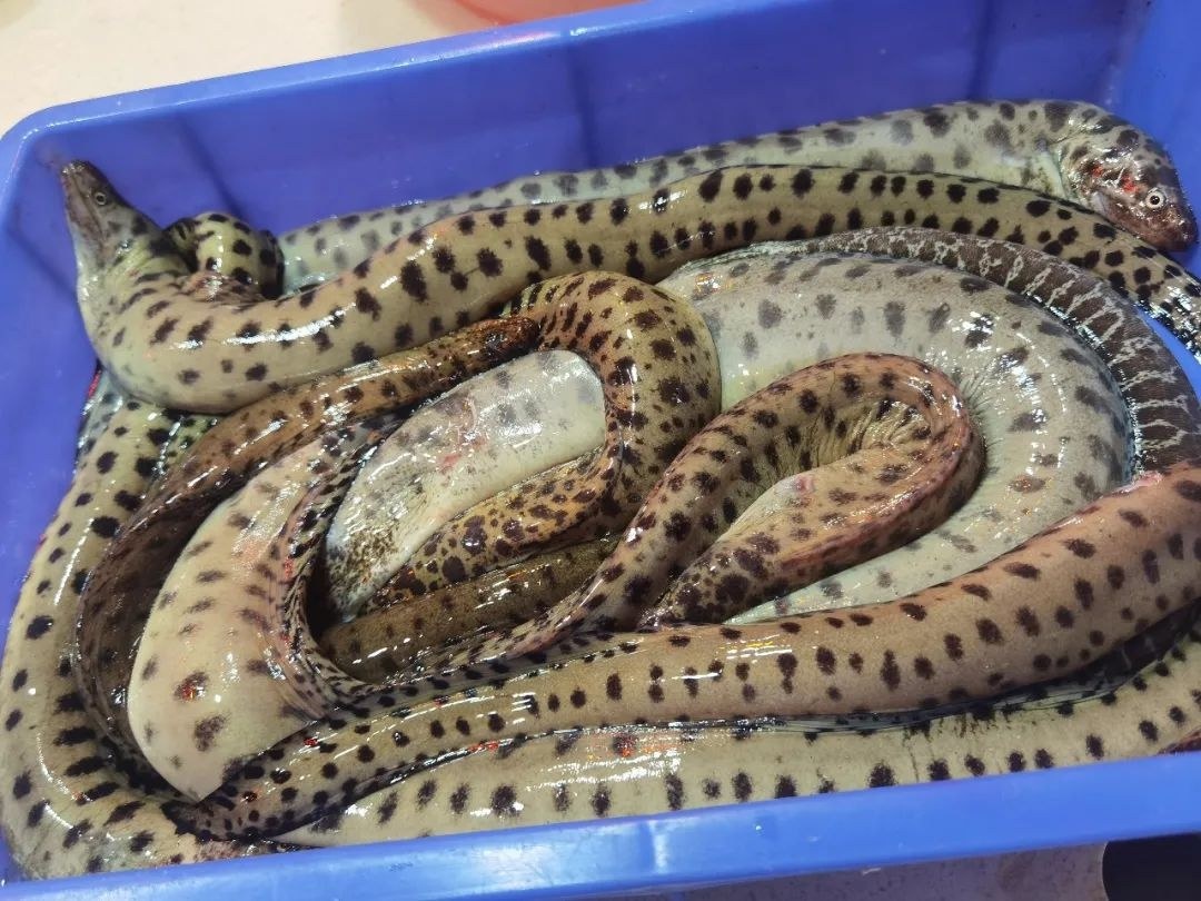 房东小亮哥公寓(通达路分店)