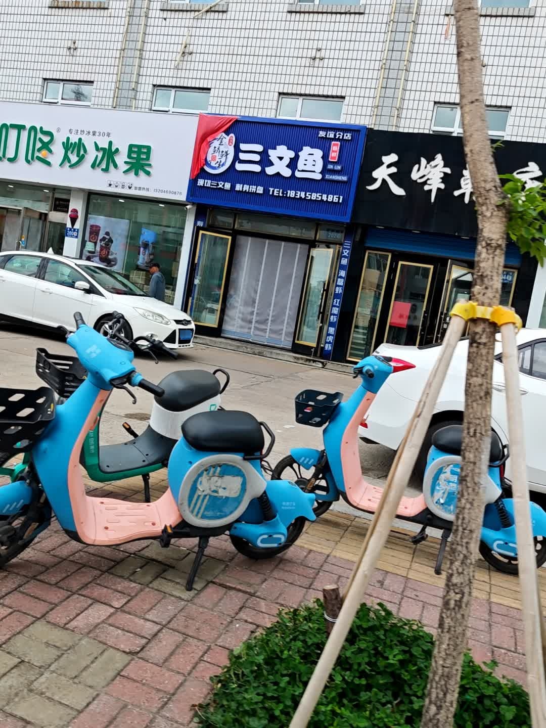 三文鱼