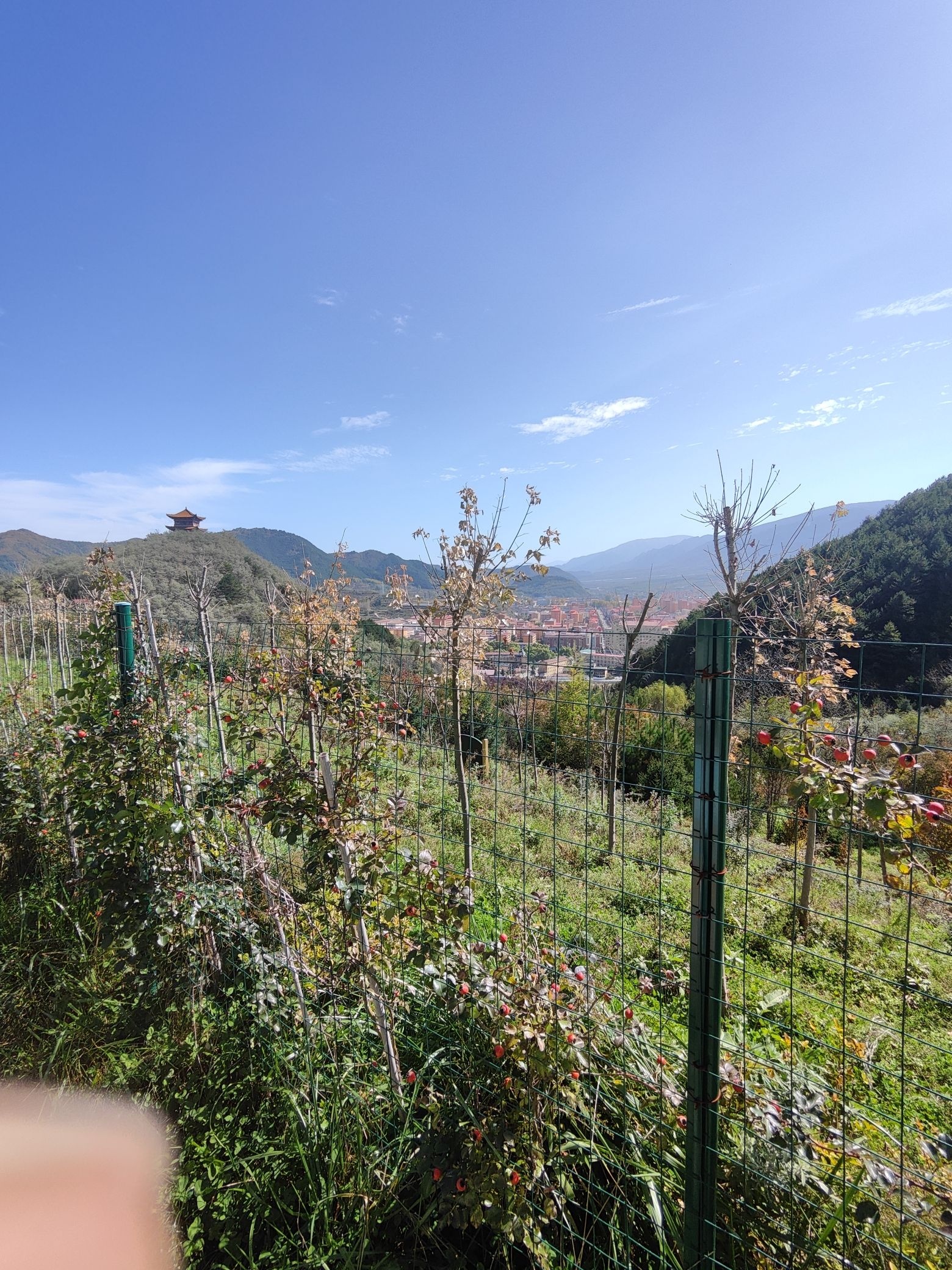 翠矶山道文化主题公园