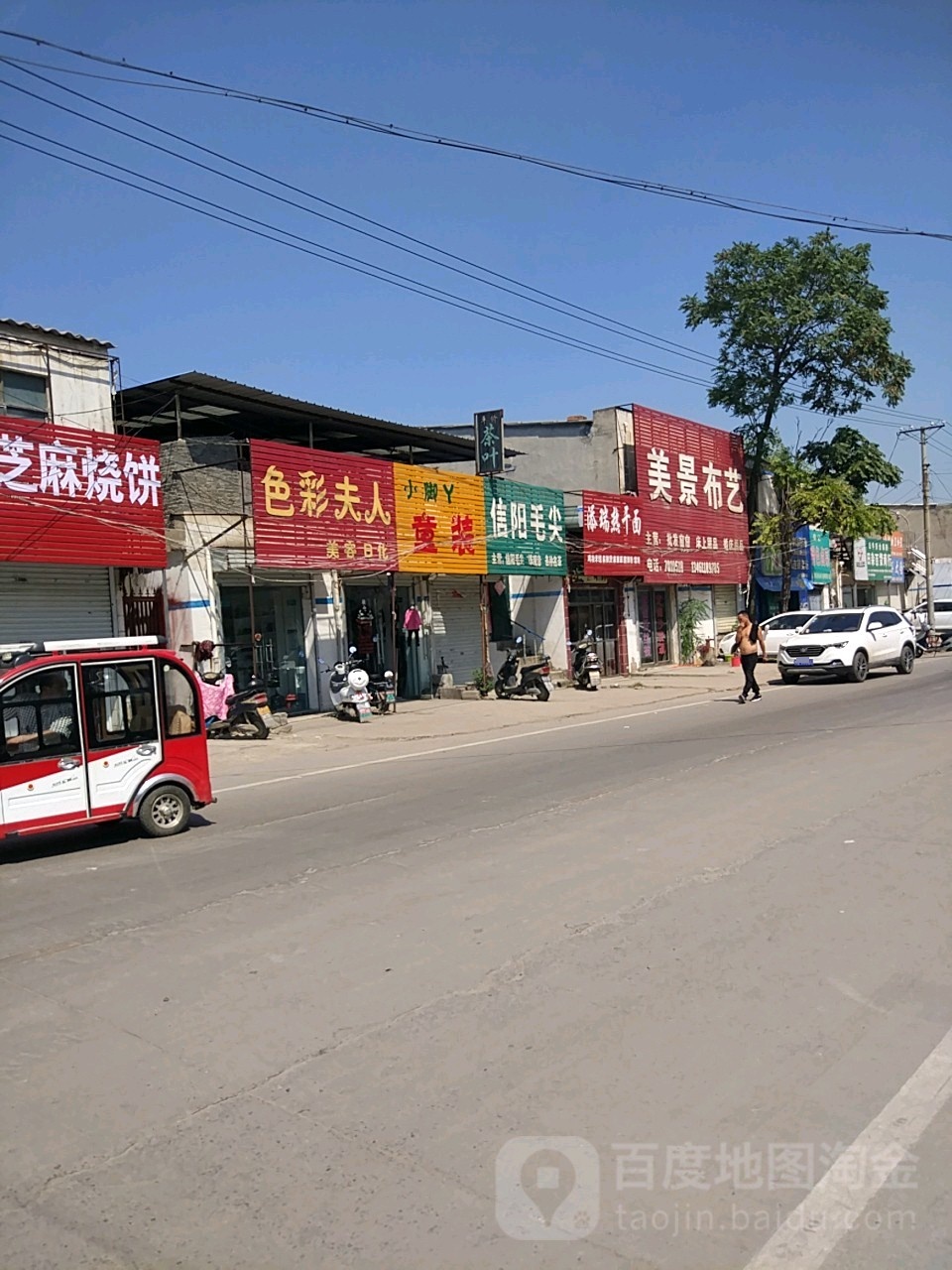 信阳毛尖