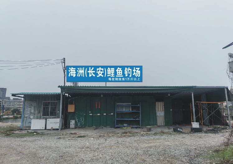 海洲(长安)鲤鱼钓场