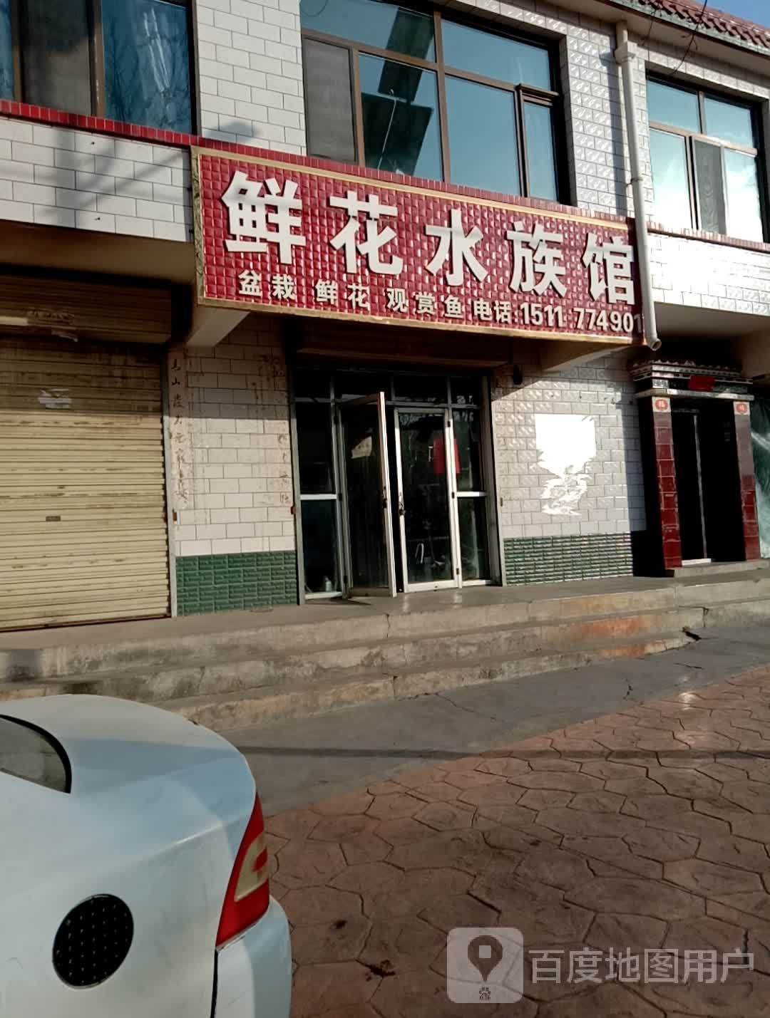 鲜花海族馆