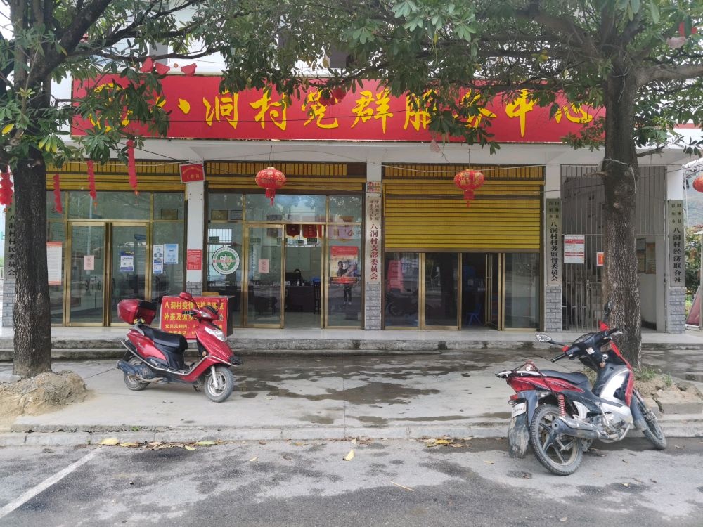 广西壮族自治区百色市田林县百乐乡八洞村退役军人服务站