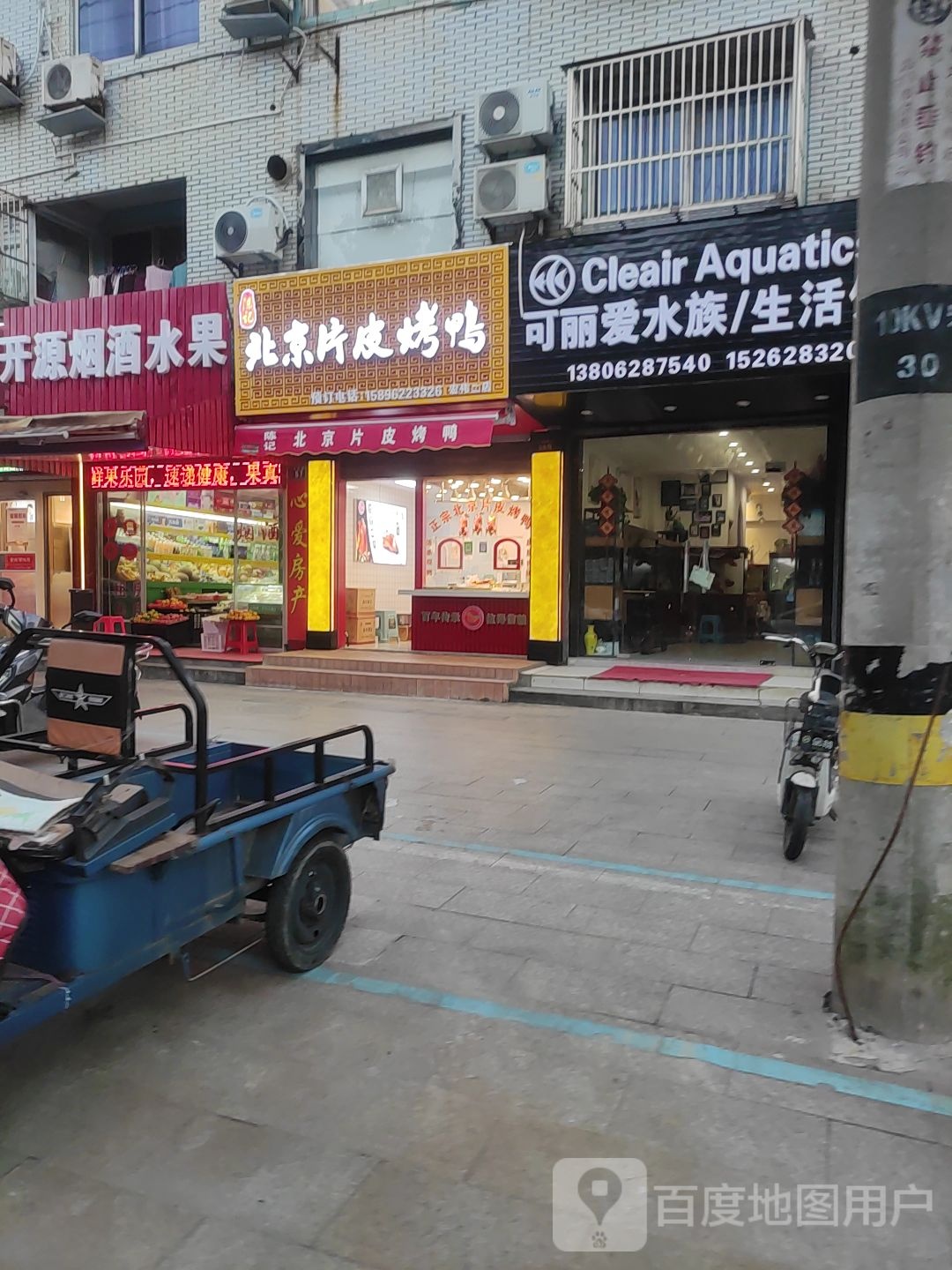 可丽爱水族(宏伟路店)