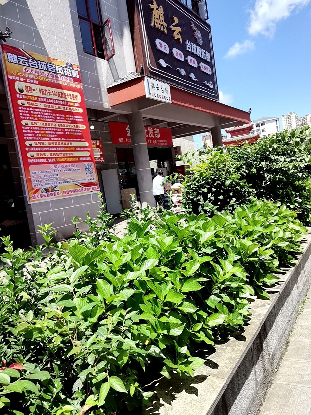 麒云台球俱乐部