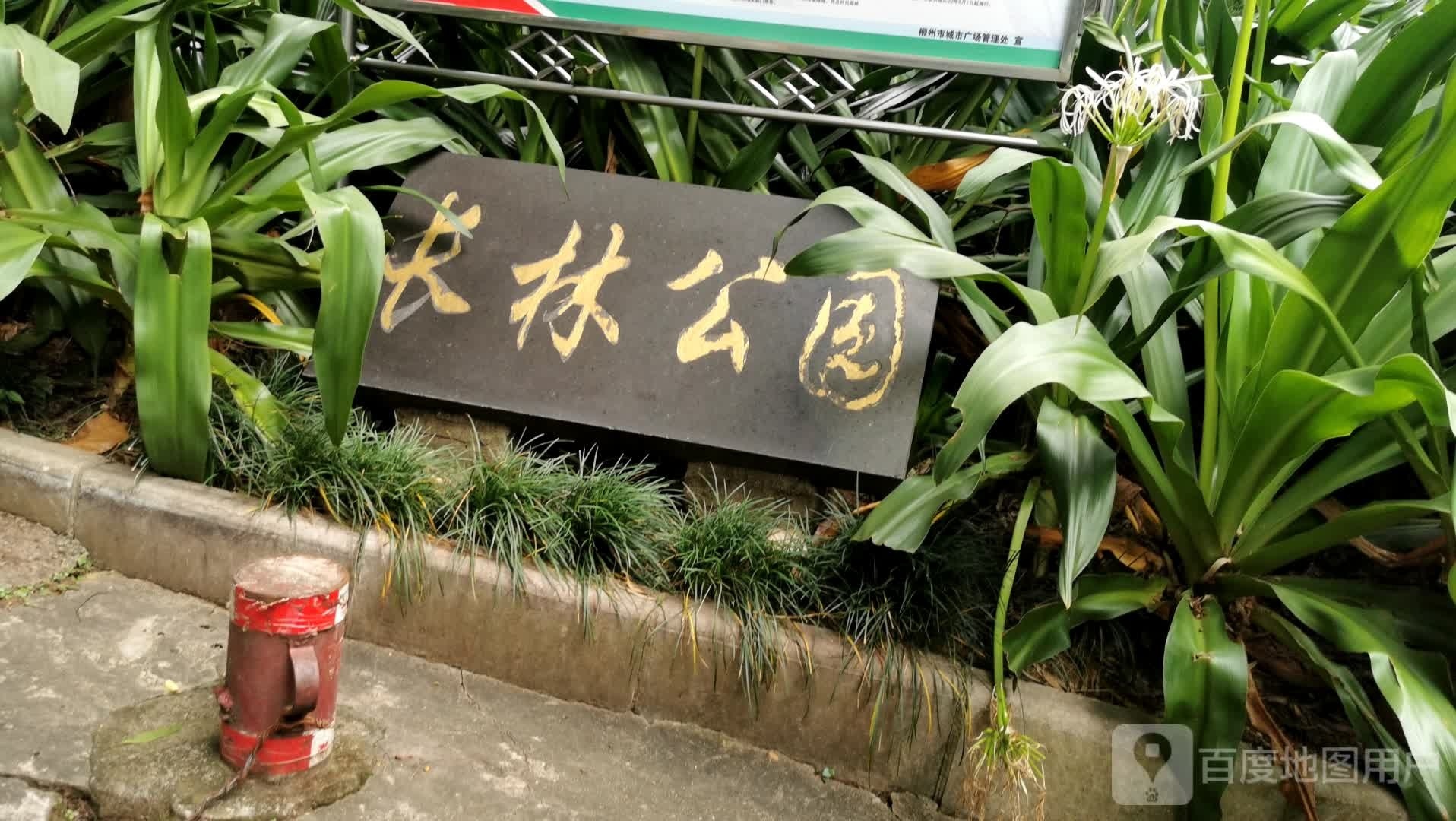 长林公园(跃进路)