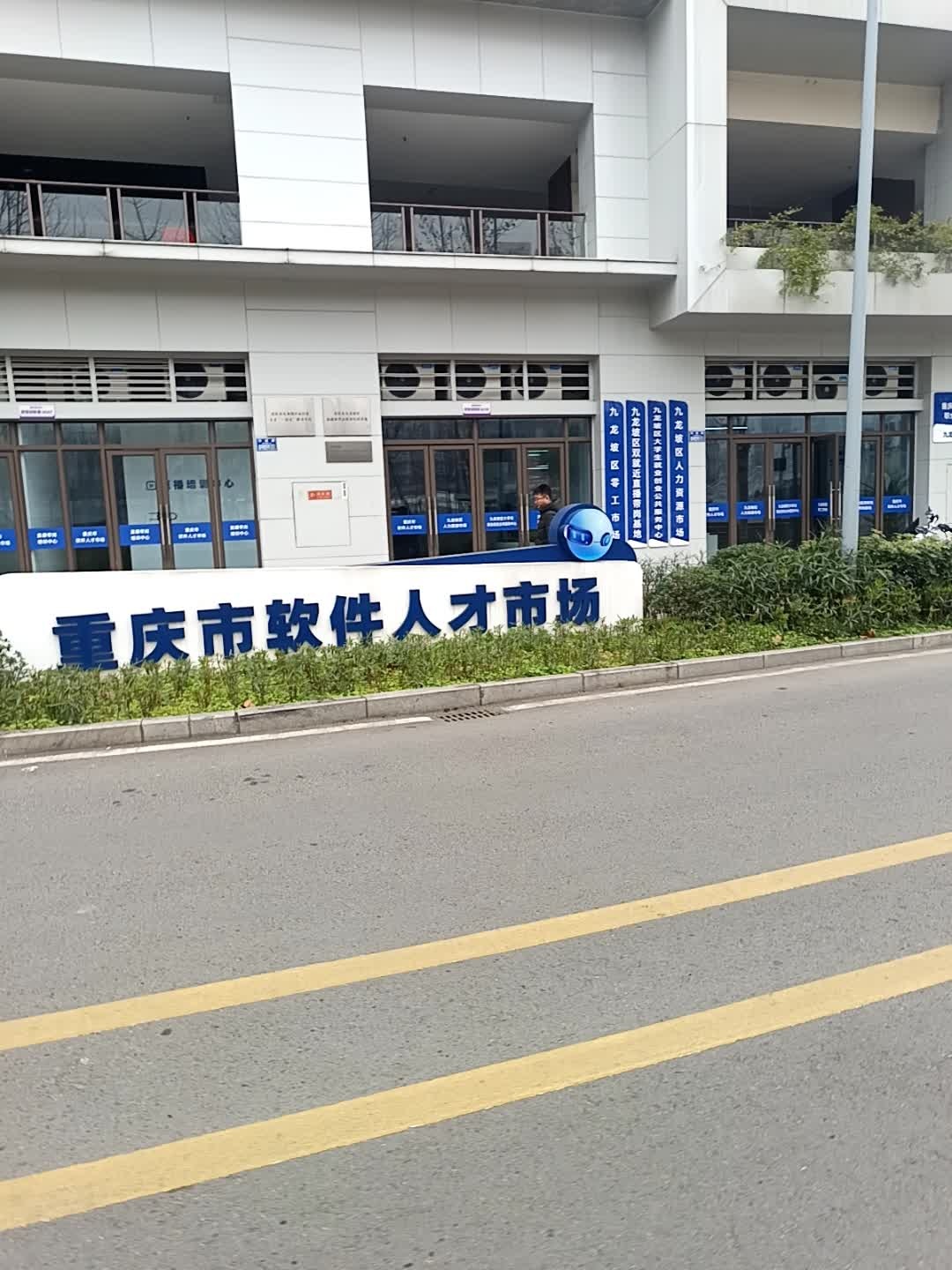 重庆市软件人才市场