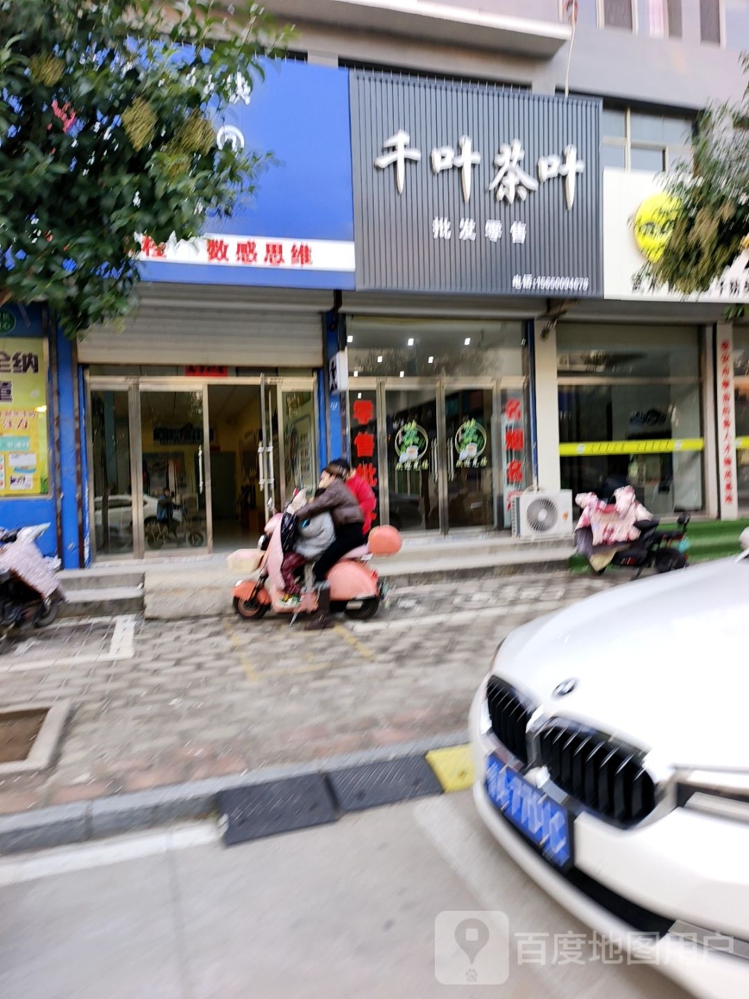 千叶茶叶