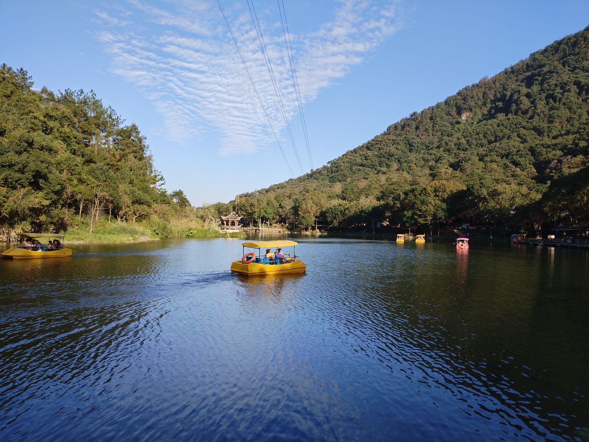 九龙谷国家森林公园