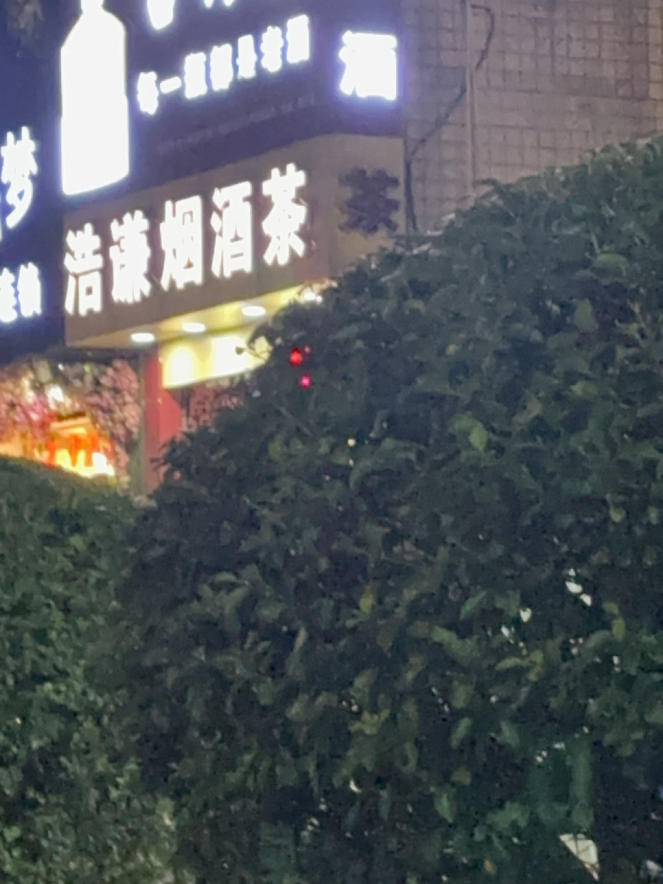 浩谦烟酒茶(桂楠小区店)