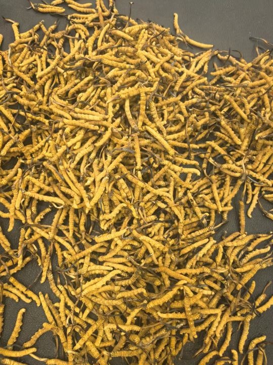 三亚弘发名酒名礼回收