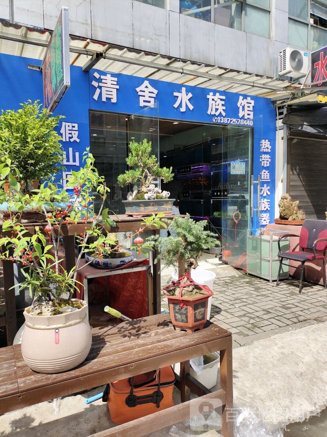 清舍水族馆(金东山商业城店)