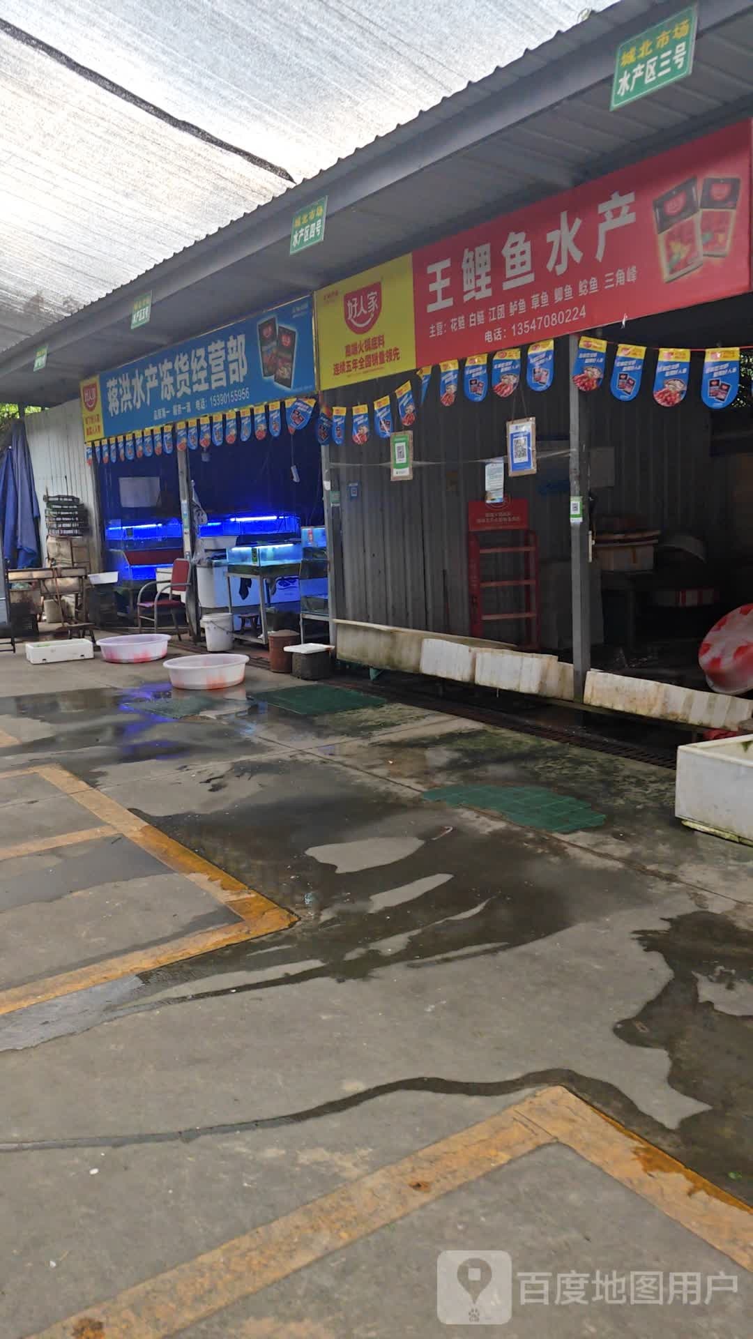 王鲤鱼水产