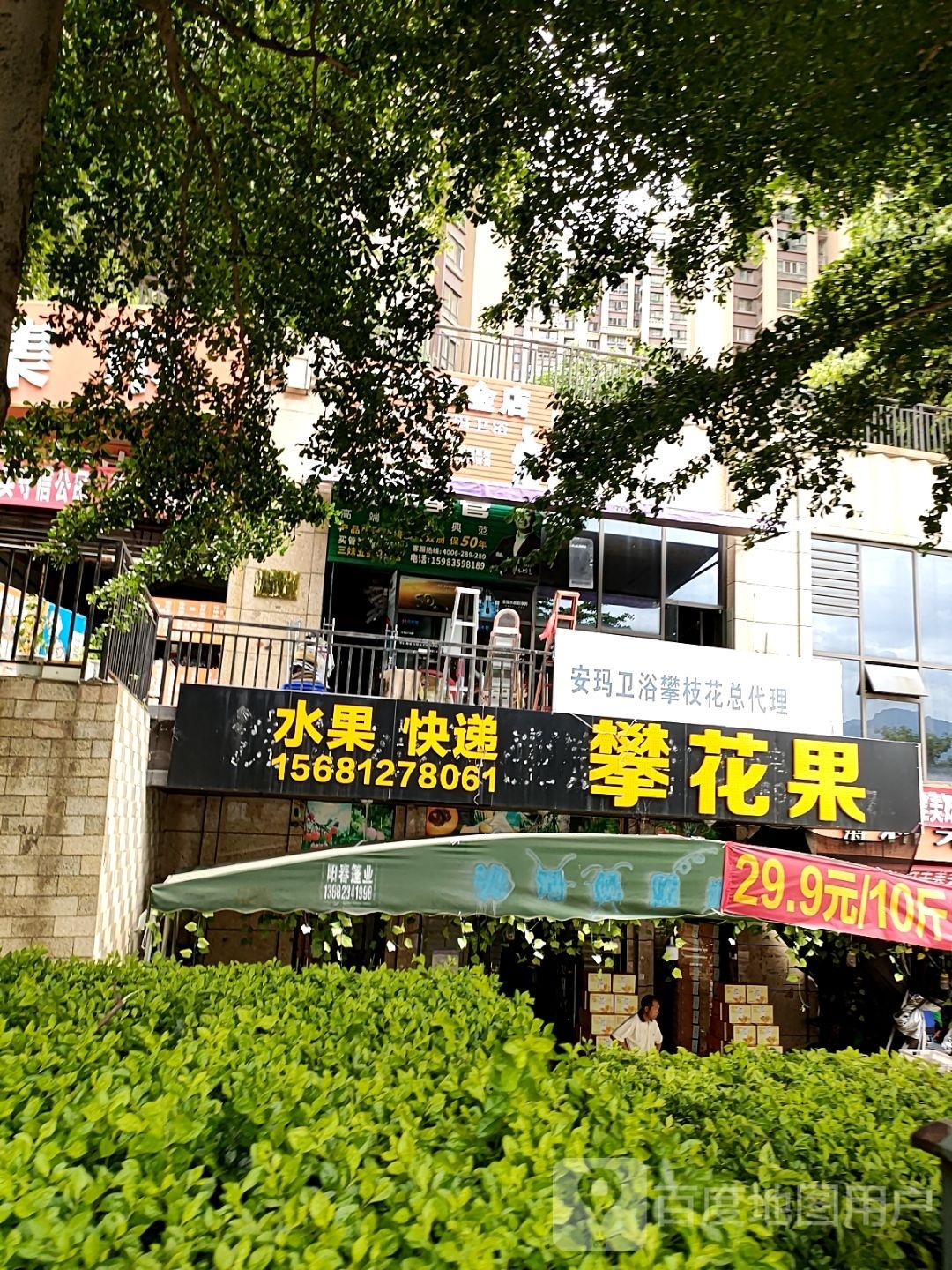 攀花果