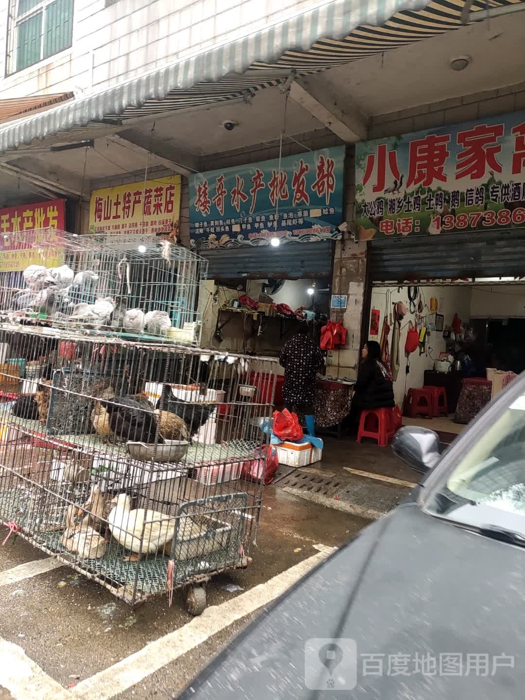 矮哥水产批fa部
