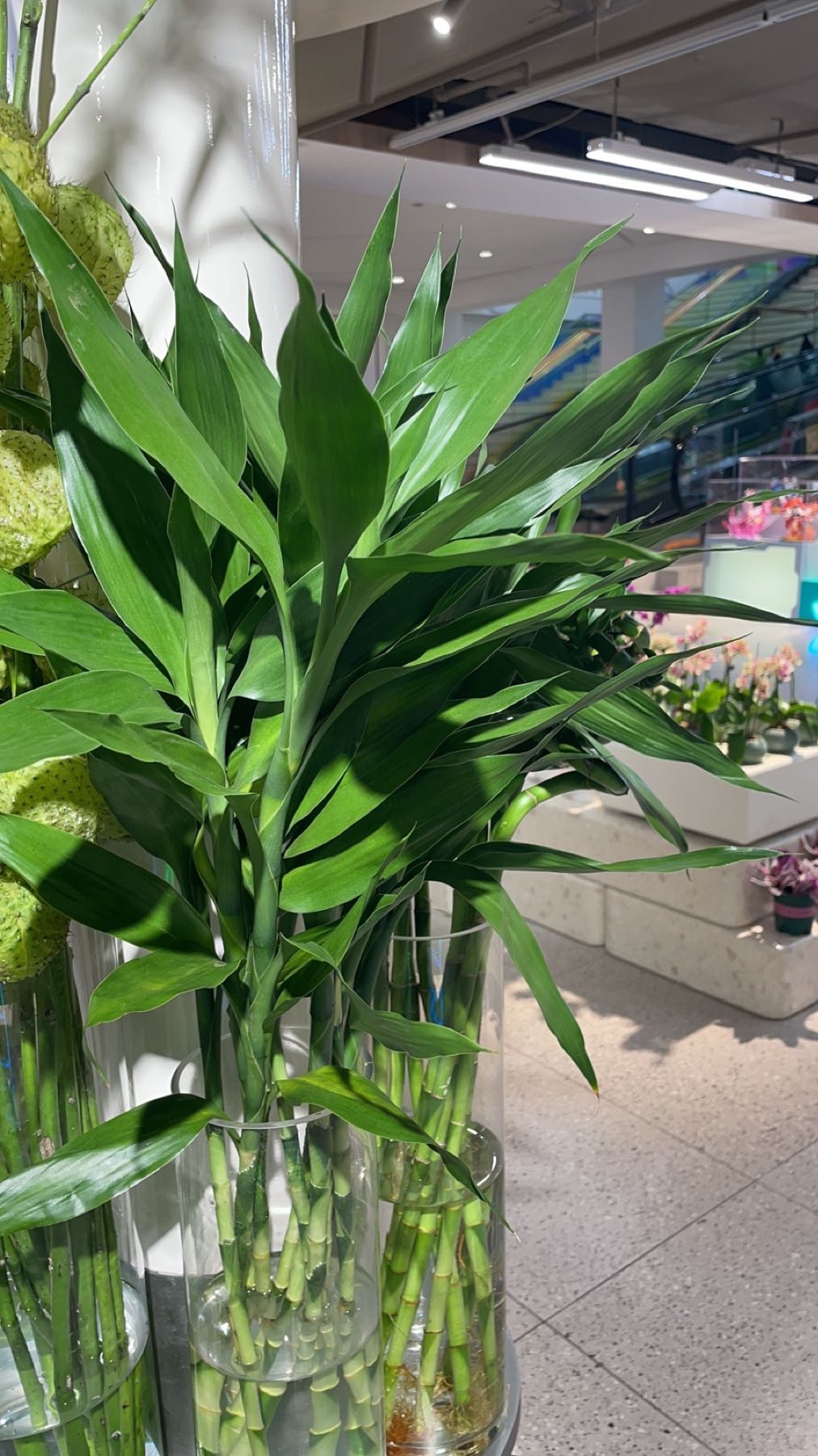 十方花植空间(青春颂广场店)