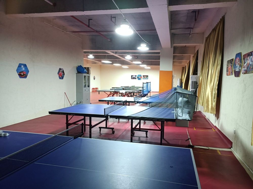 七彩乒乓训练馆