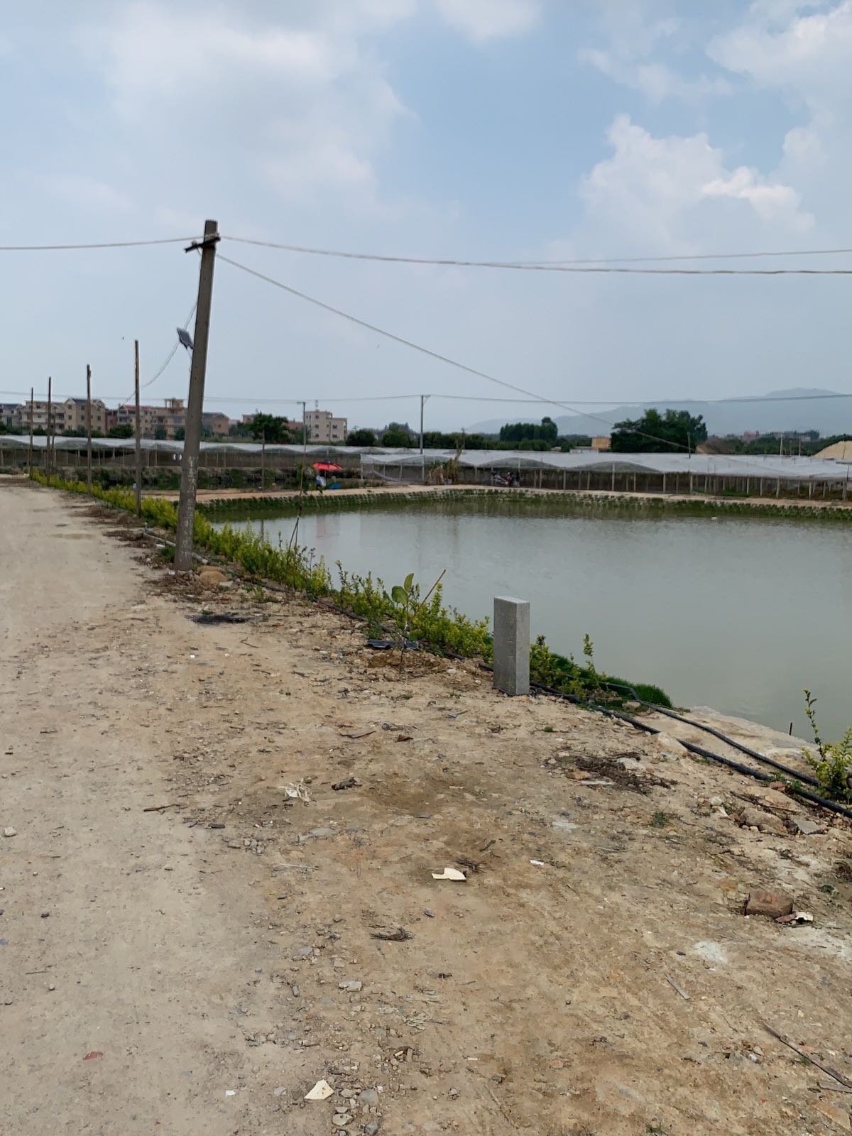 大溪钓鱼台生态农场