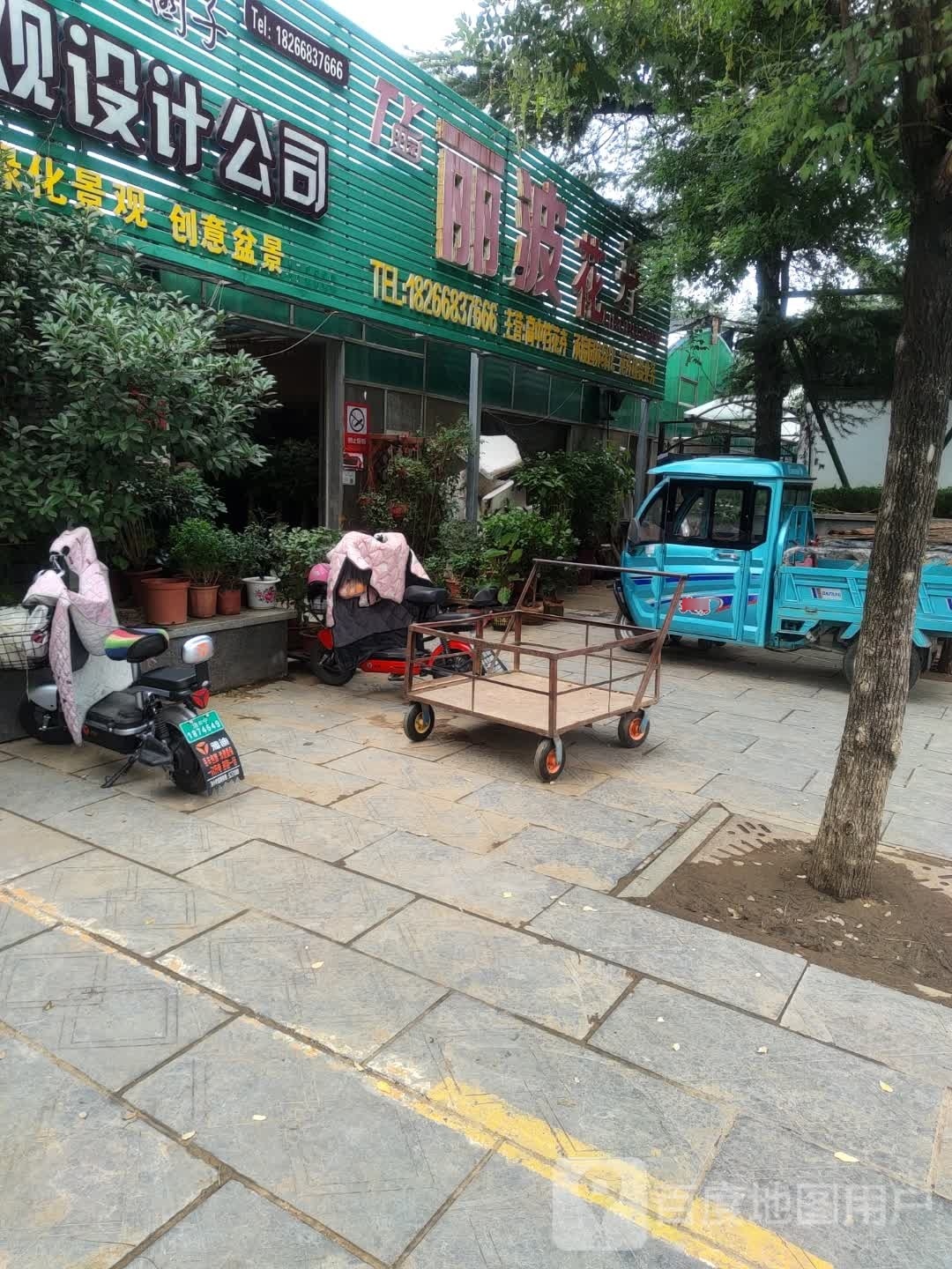 丽波花卉
