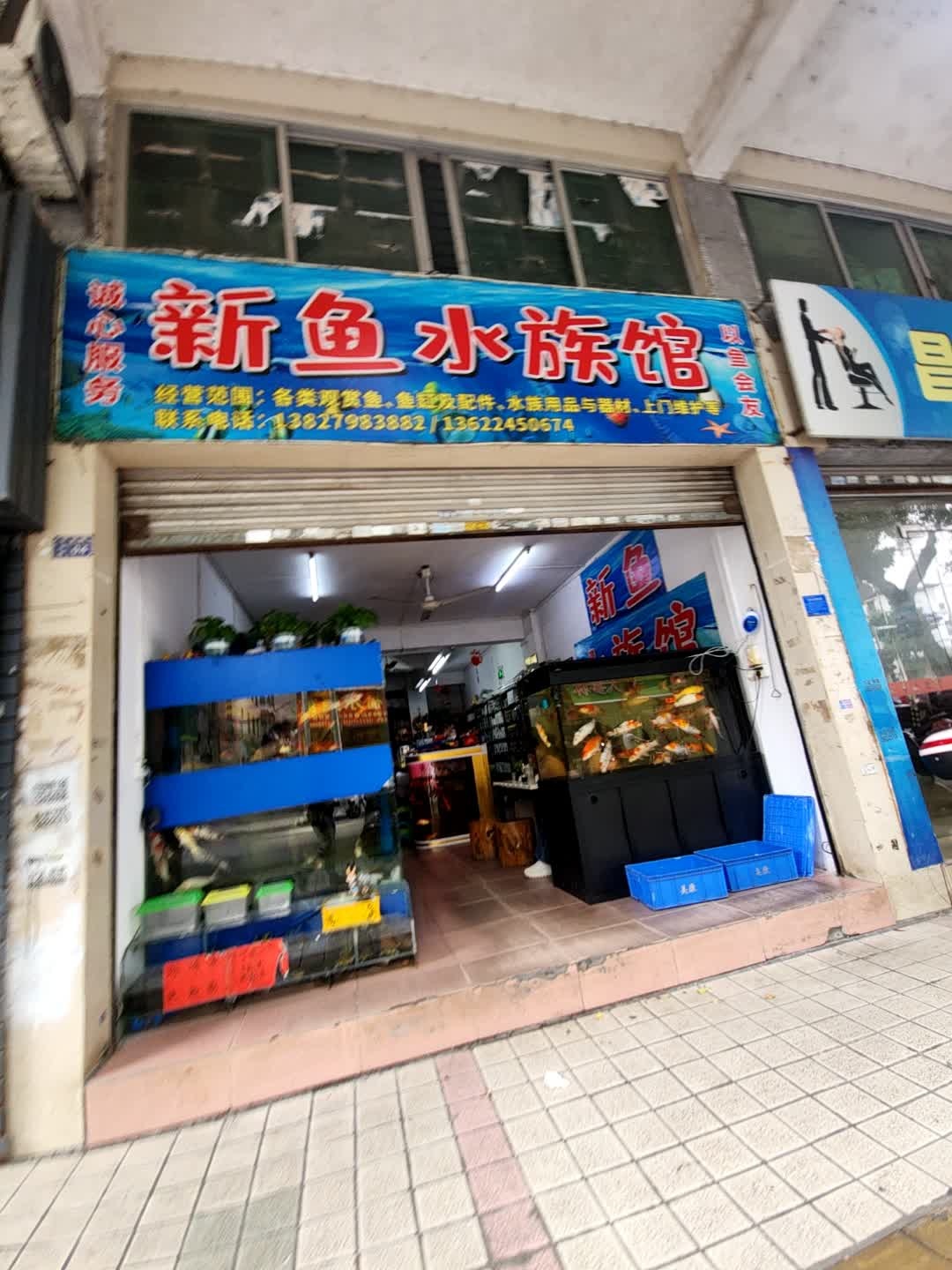 新鱼水族馆