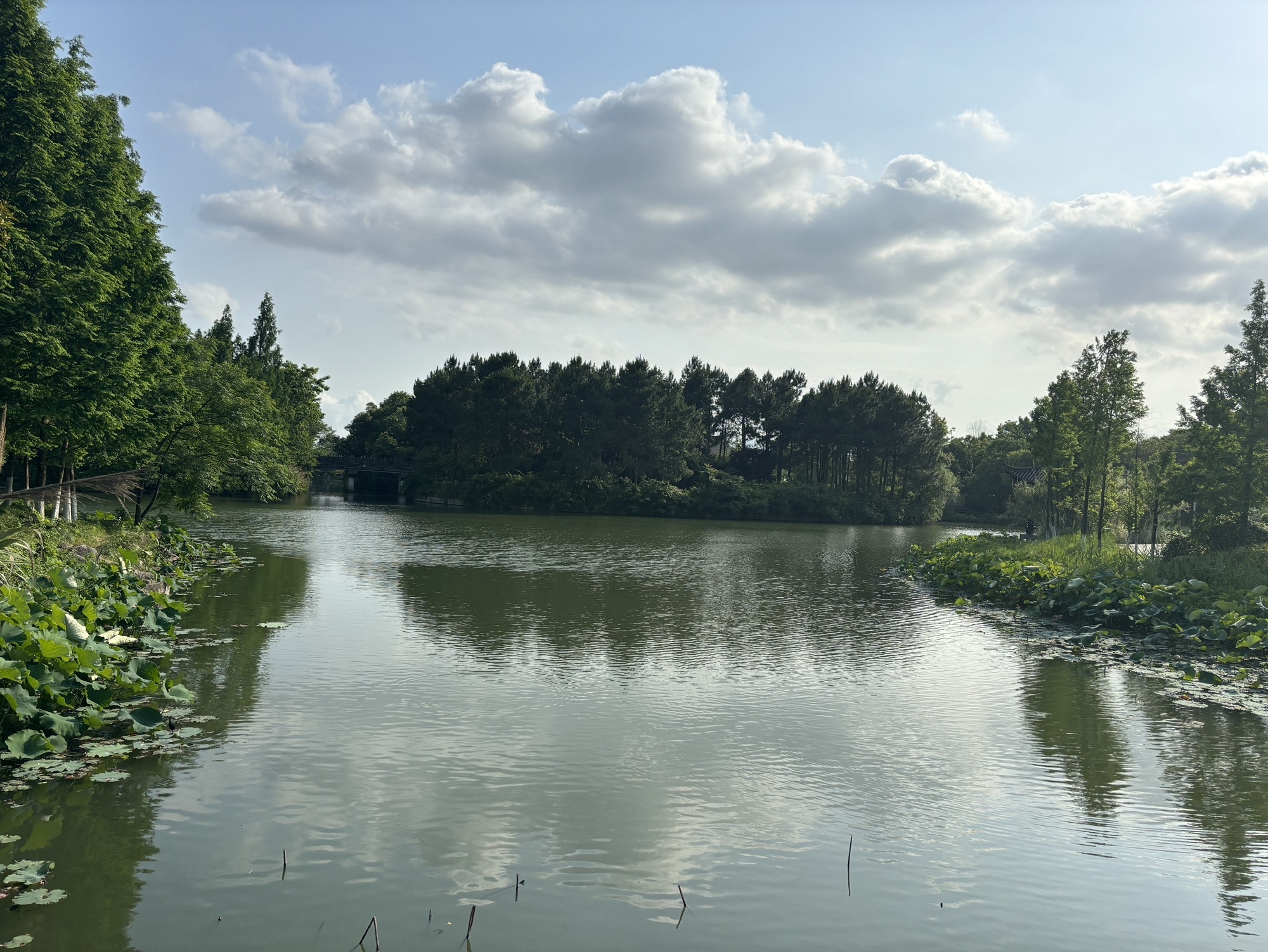 温州生态园三垟湿地景区