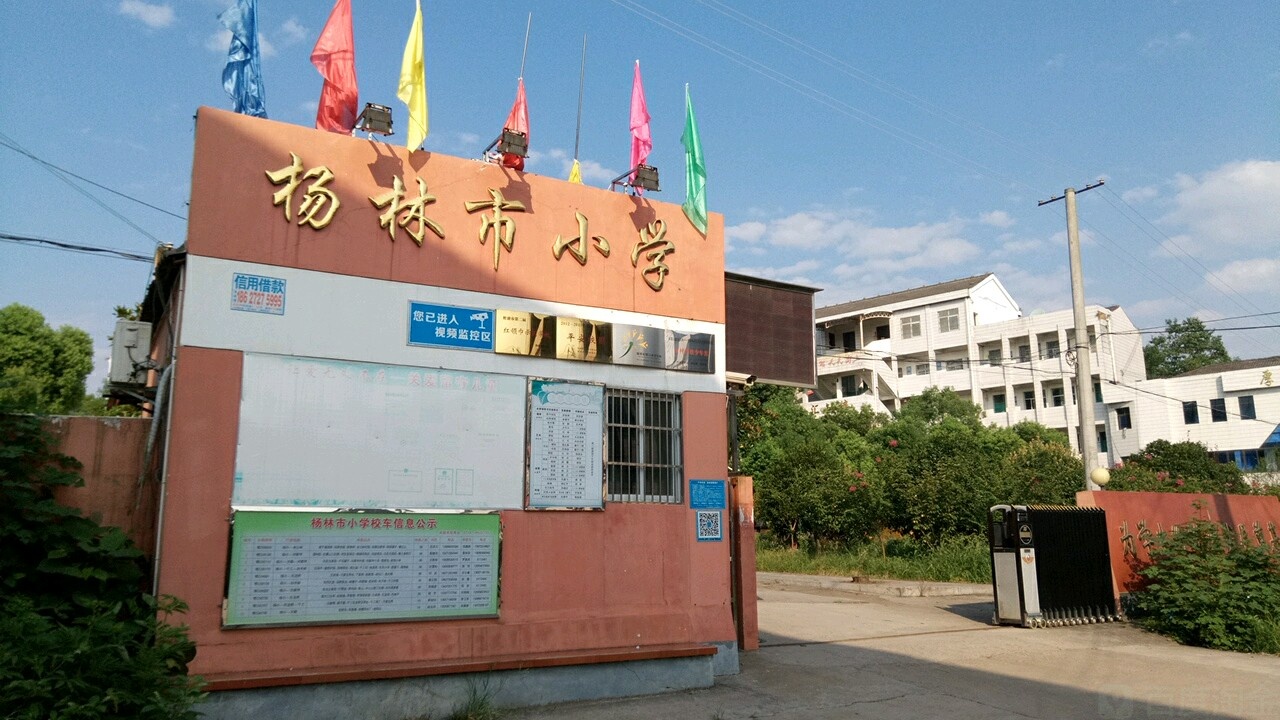 杨林市小学