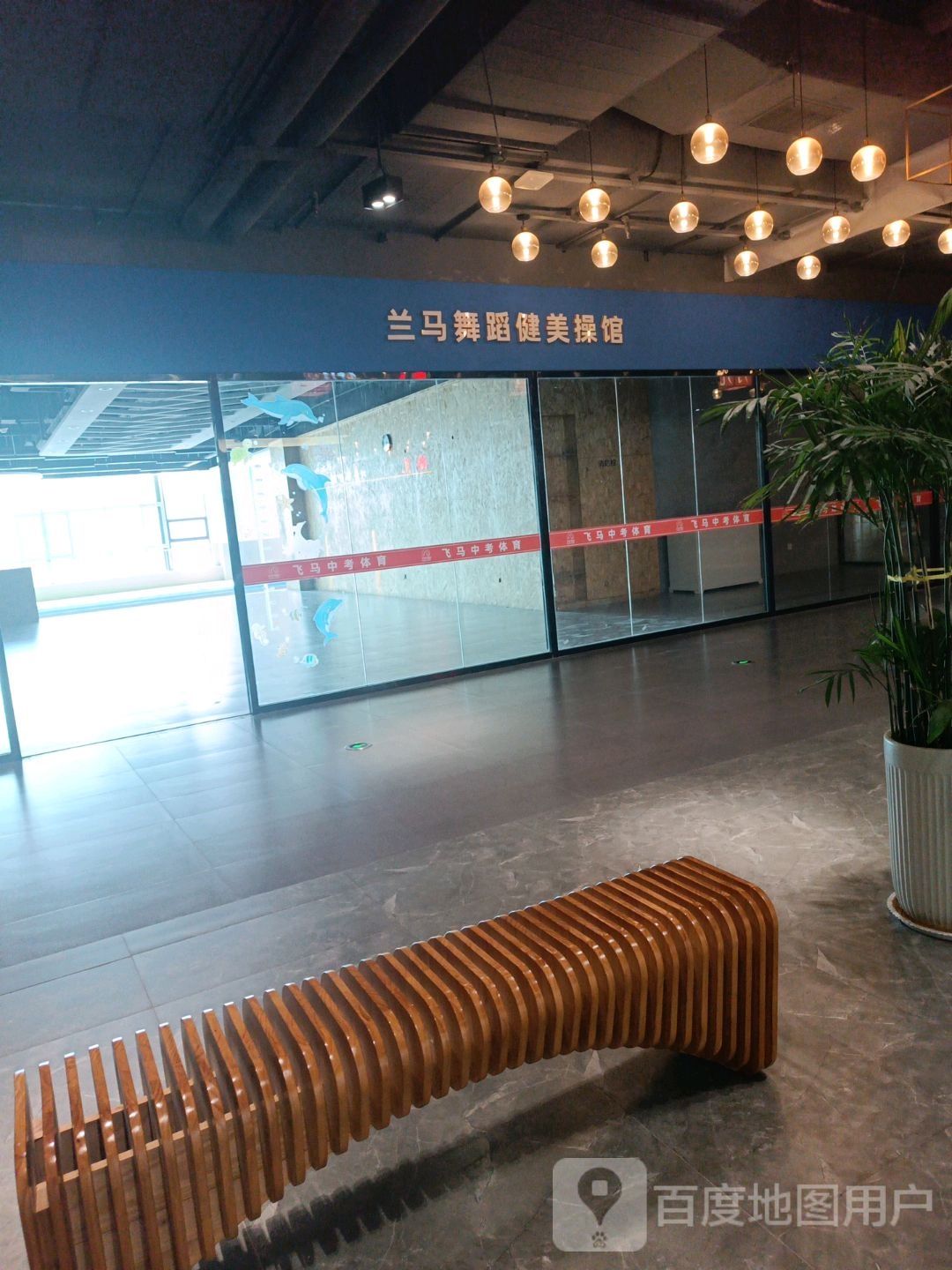 兰马舞蹈健美操管(新华新阅广场店)