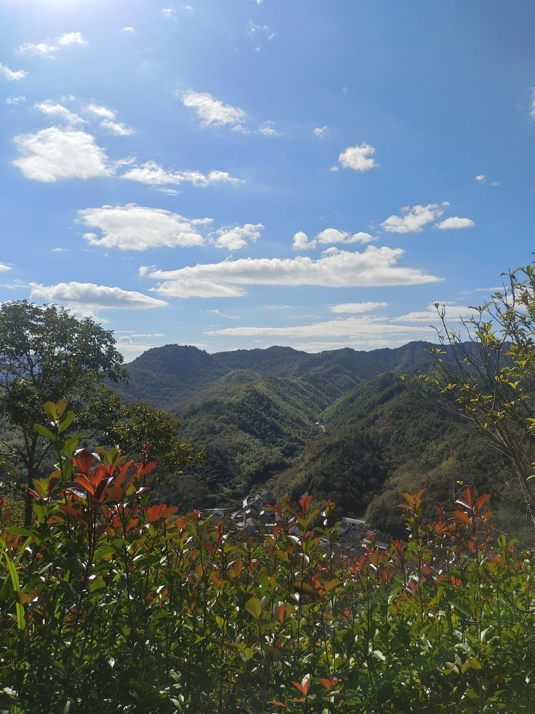 陈溪风情小镇景区