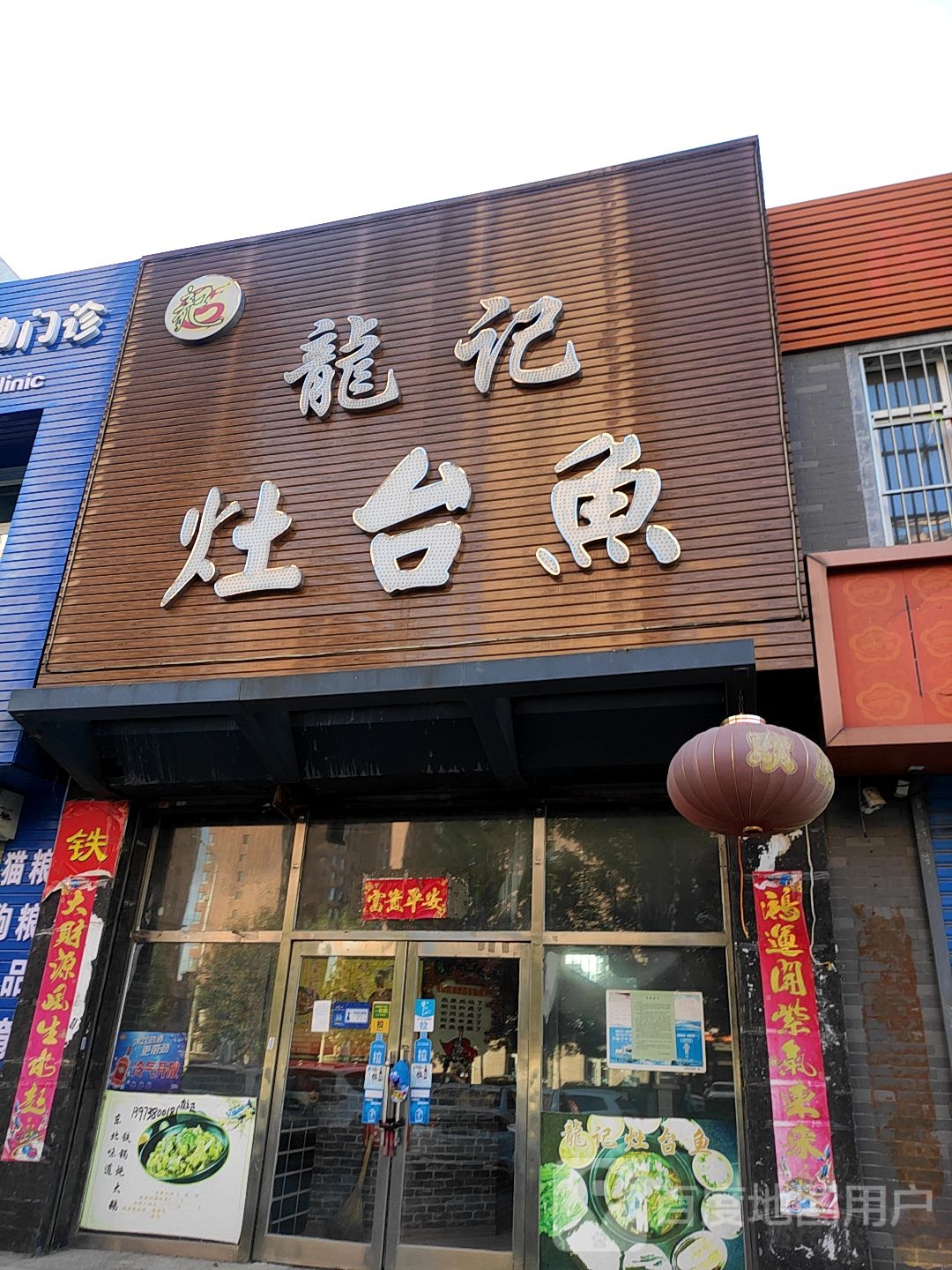 龙及灶台鱼