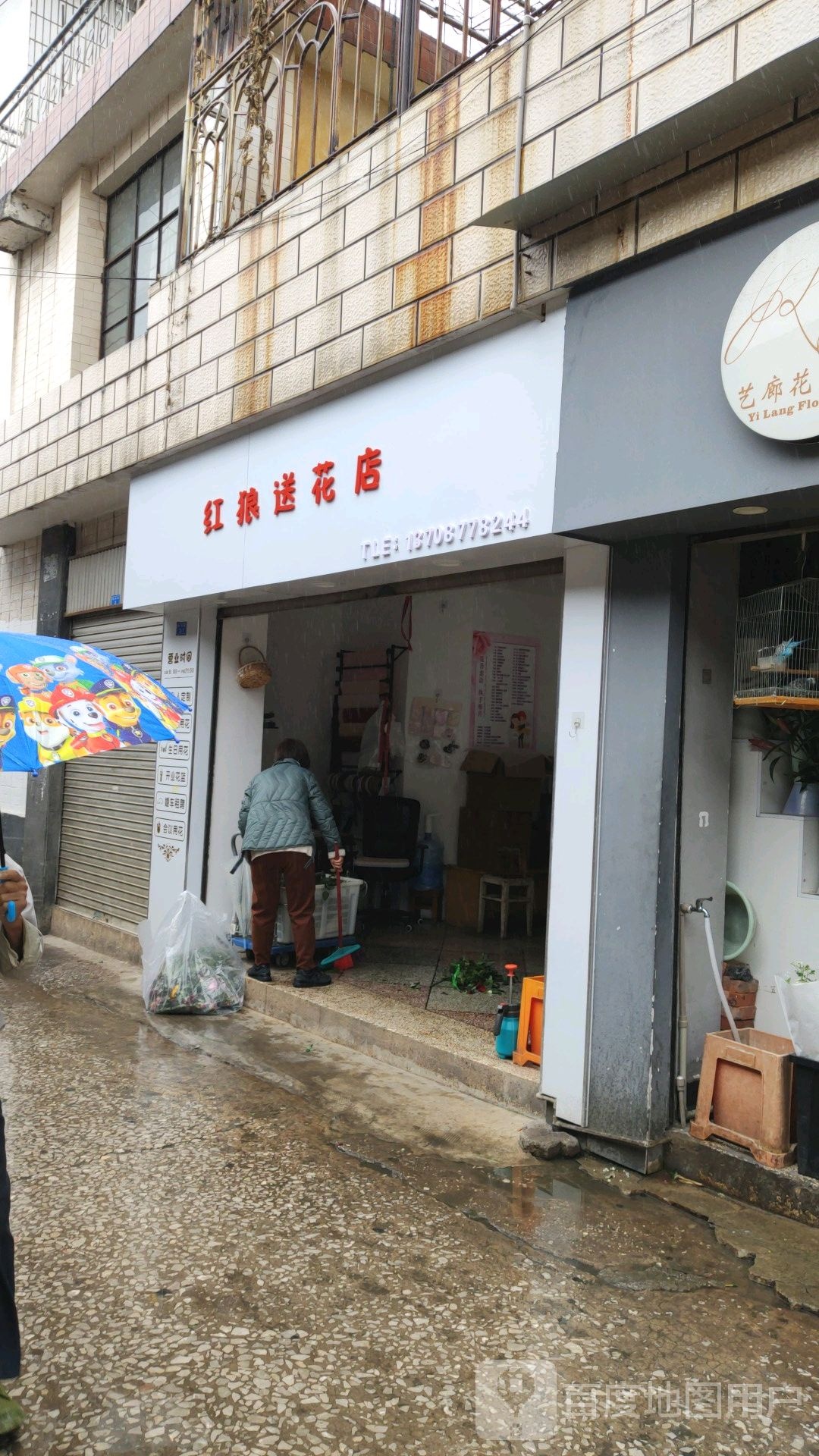 红狼送花店