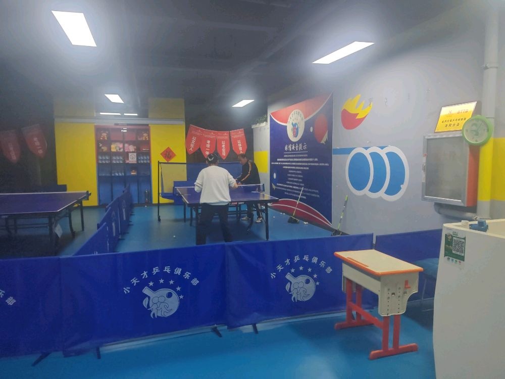 小天才乒乓俱乐部(武汉路馆)