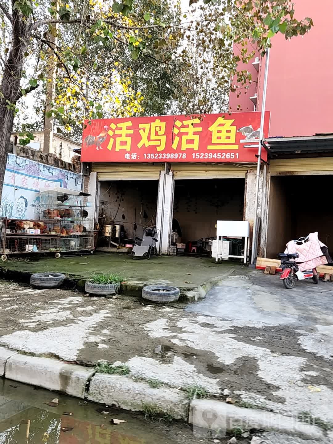 太康县活鸡活鱼(银城北路店)