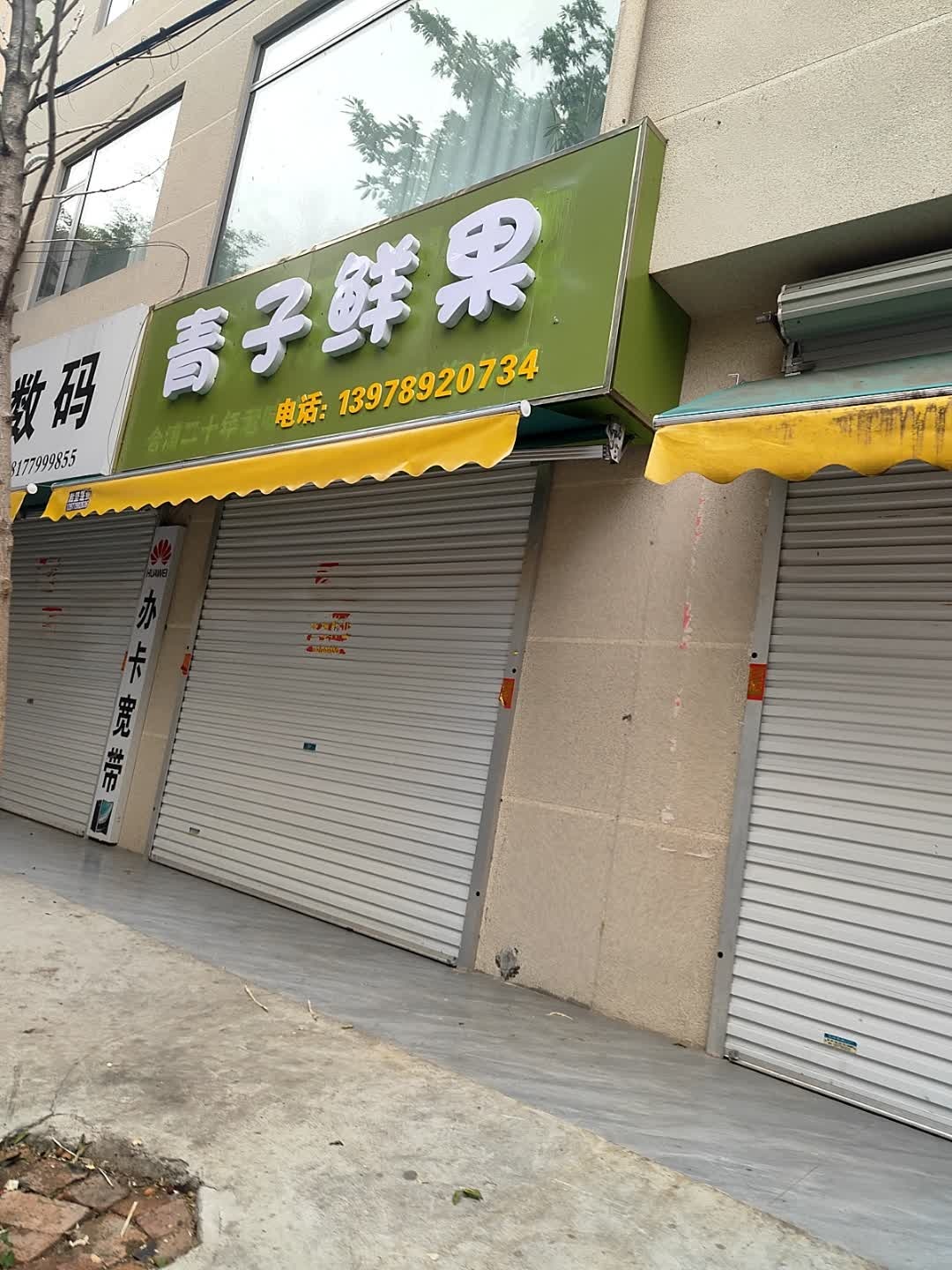青子鲜果