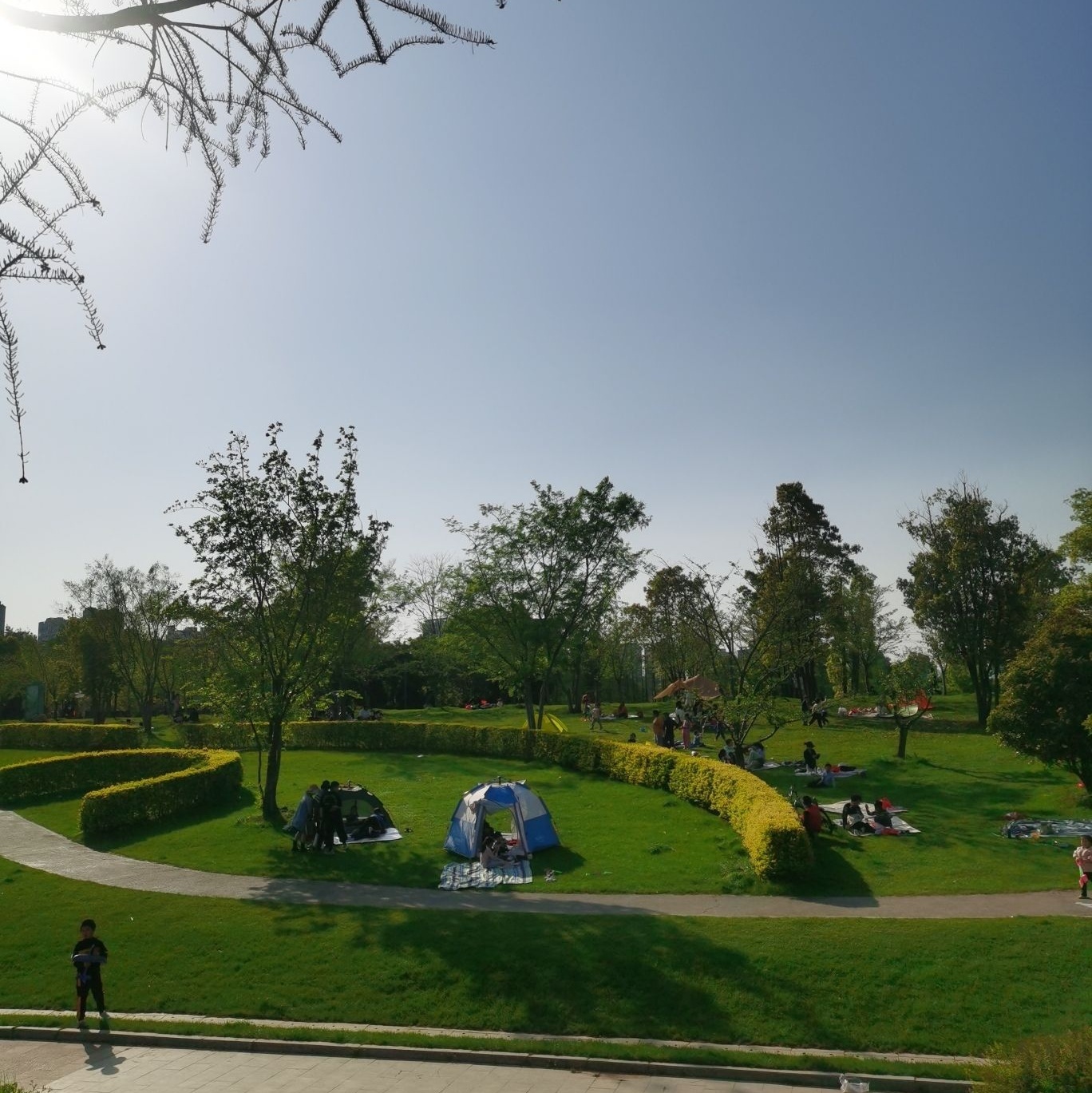 金沙溪湿地公园