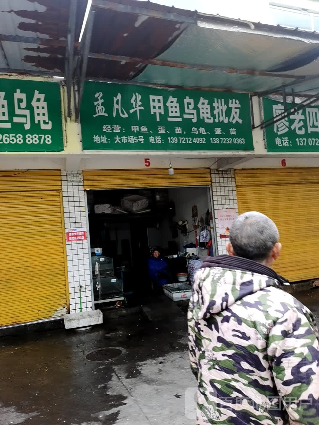 孟凡华夹鱼乌龟批发