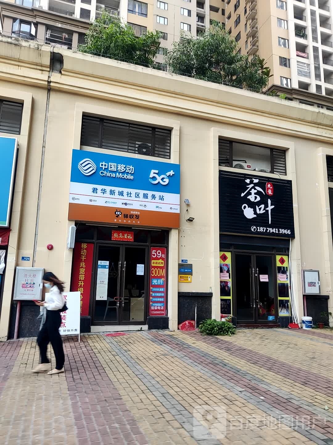 九龙茶叶