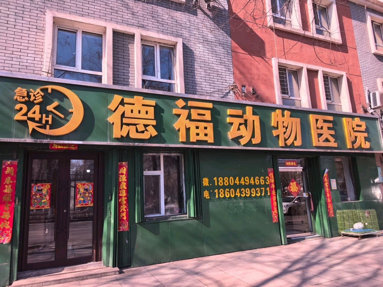 德福动物医院