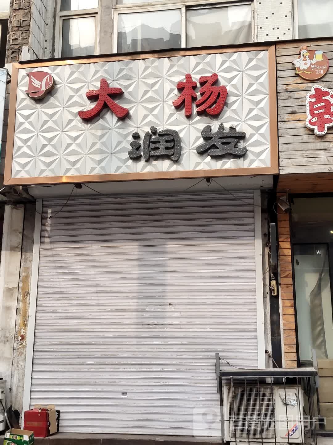 大杨接发