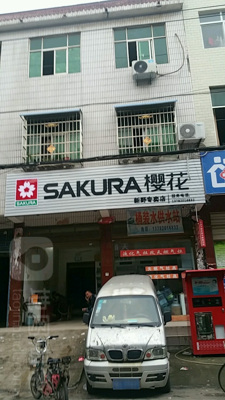 新野县樱花(新野专卖店)