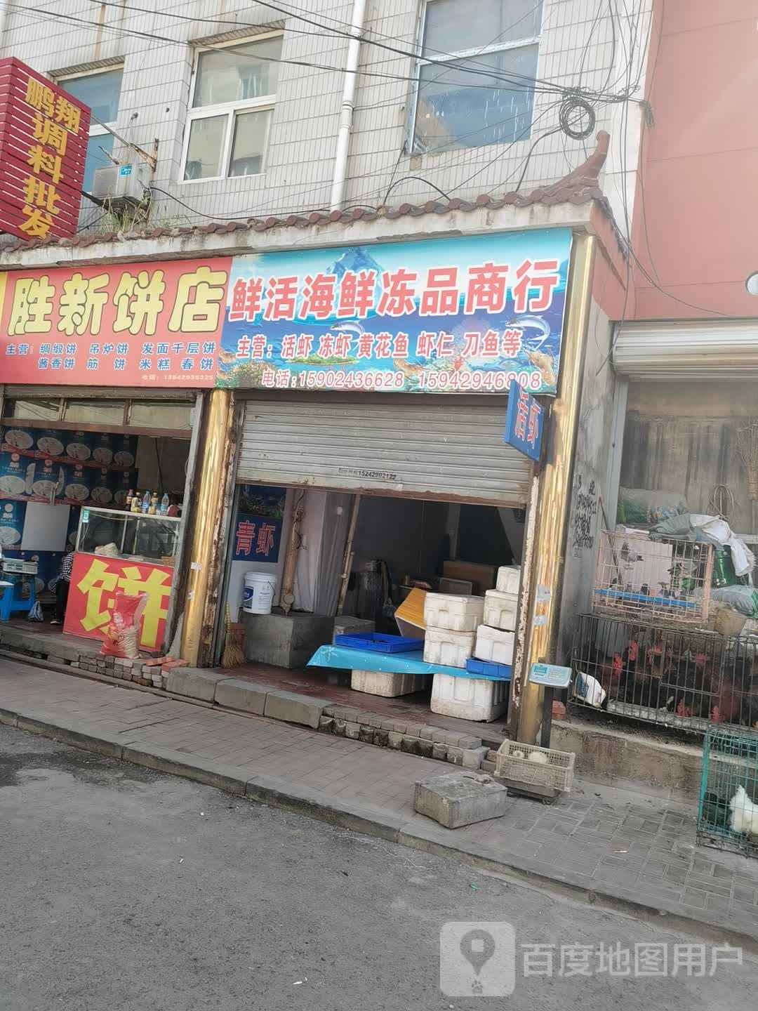 鲜活海鲜冻品商行