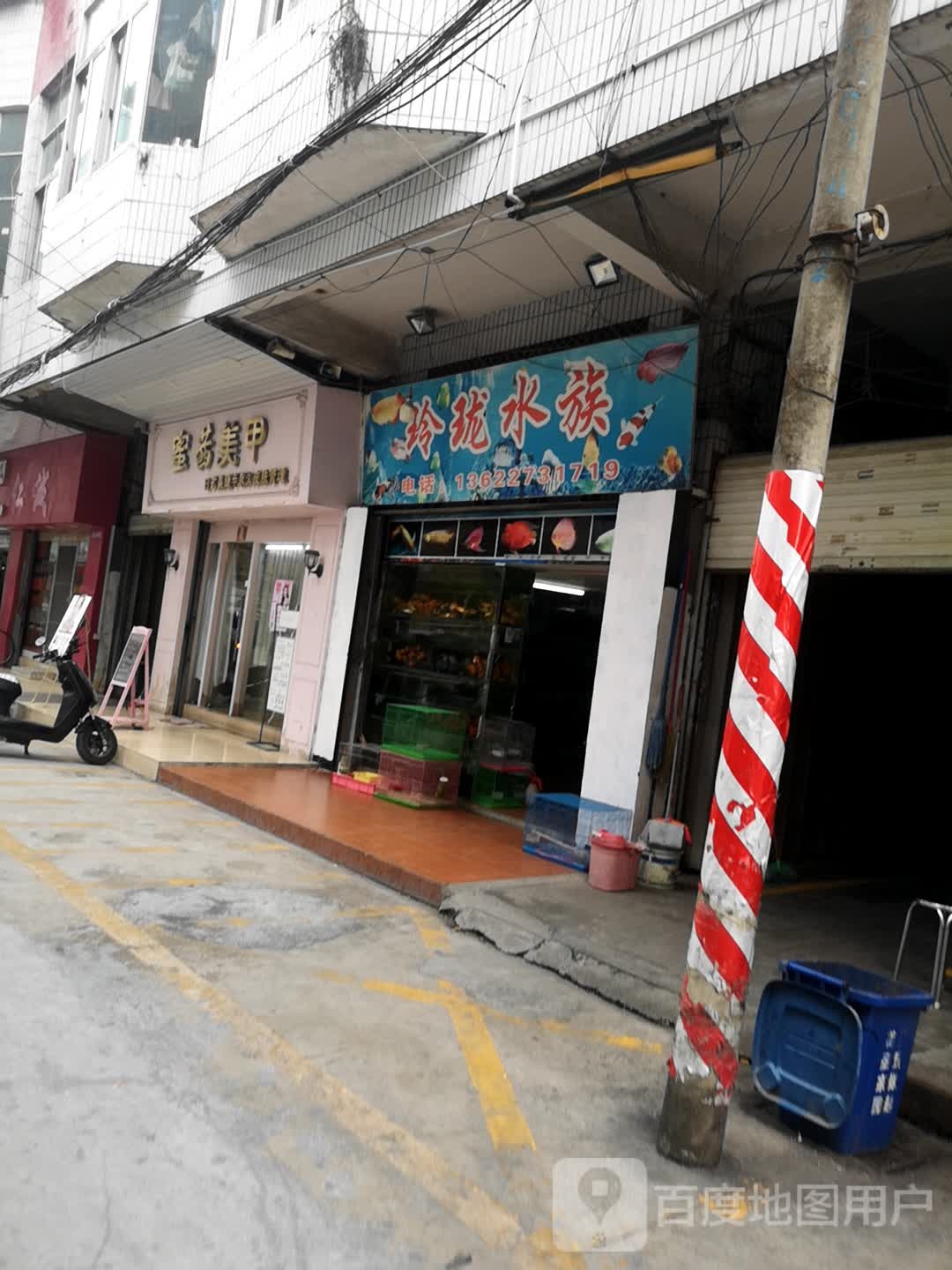 令龙水族(粤东电子城店)