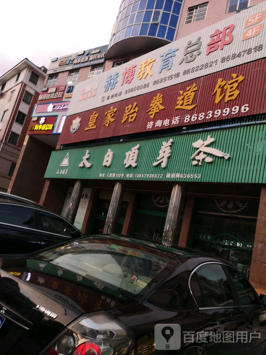 太白顶芽茶