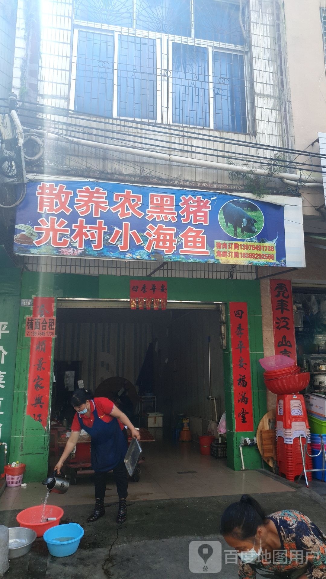 散养农黑猪光村小海鱼