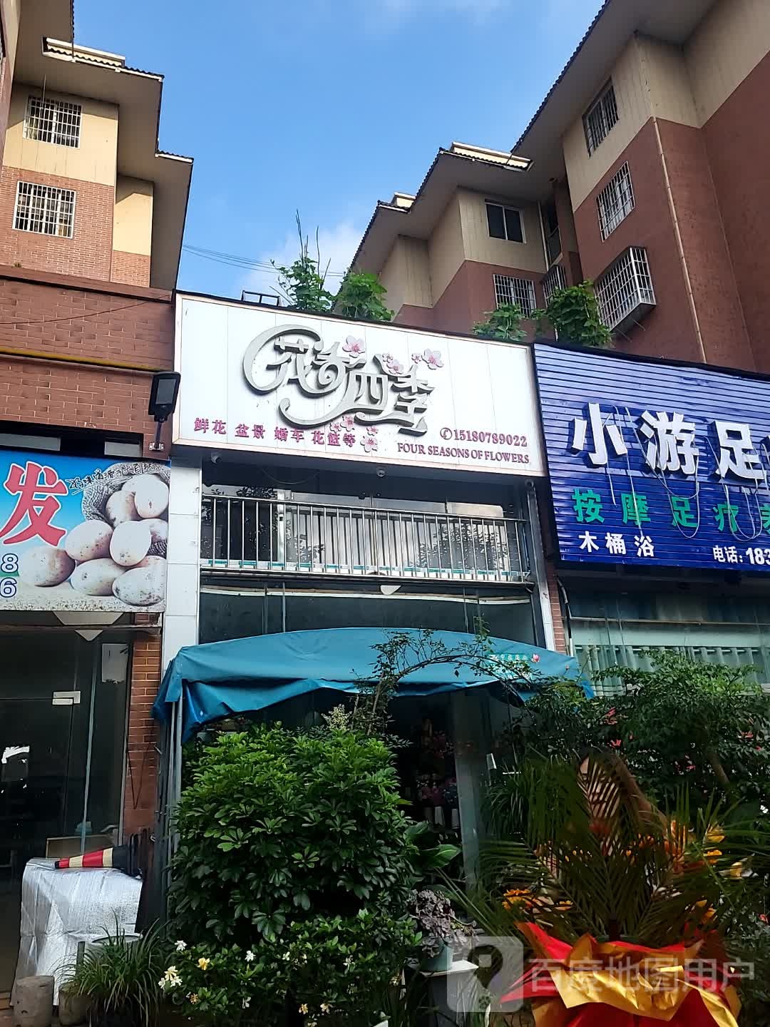 花四季香痴镀(麒龙缤纷摩尔购物中心店)