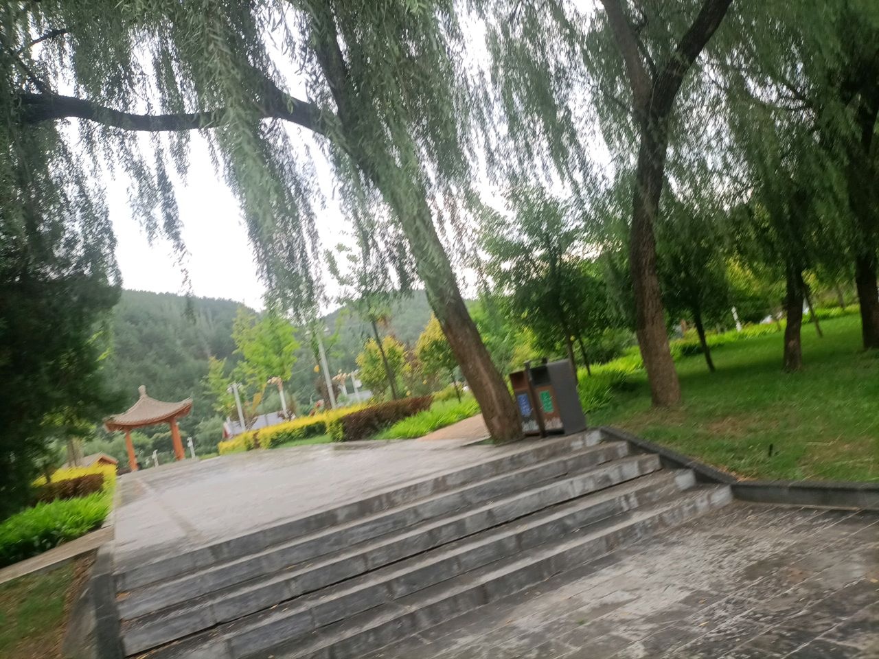 彭阳县凤凰公园