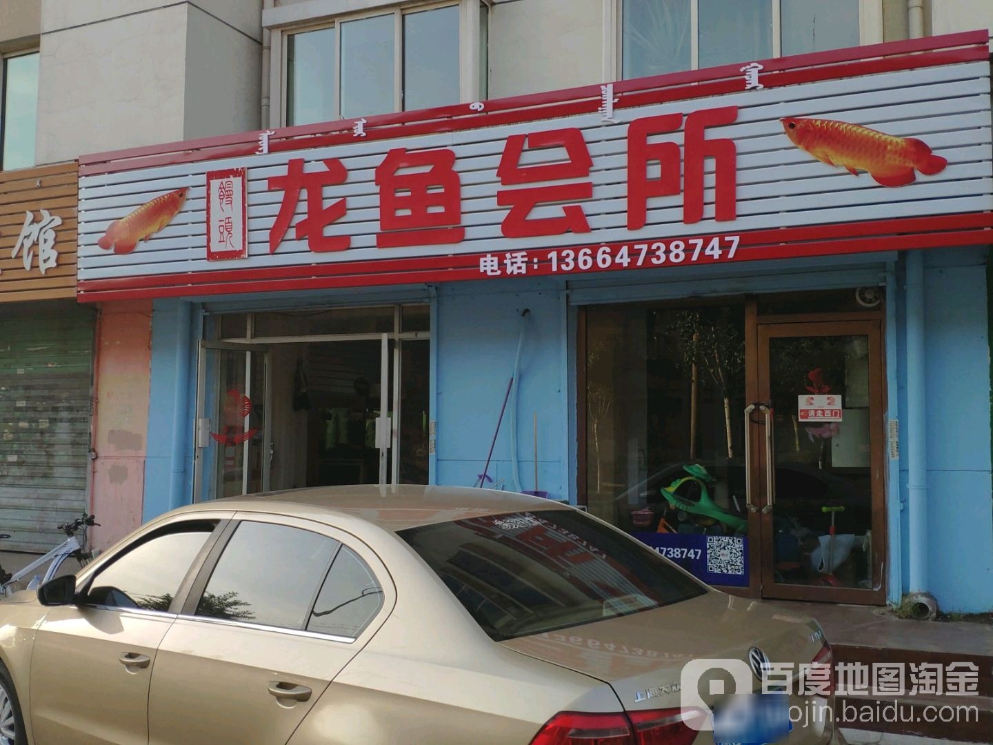 龙鱼会所