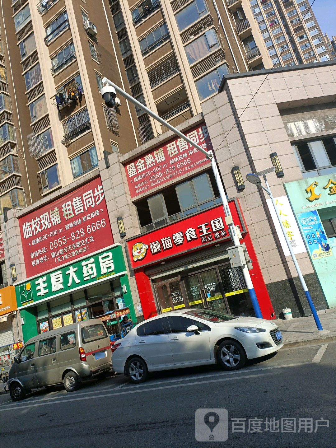 丰原大药房(马鞍山东方城店)